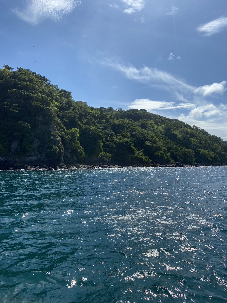 dillpickleeeee's tweet photo. Spent my day on a catamaran to Taboga Island taking shots, jumping off into the water, oiled down, enjoying the views + vibes 🌊 https://t.co/EVPFueGG6E