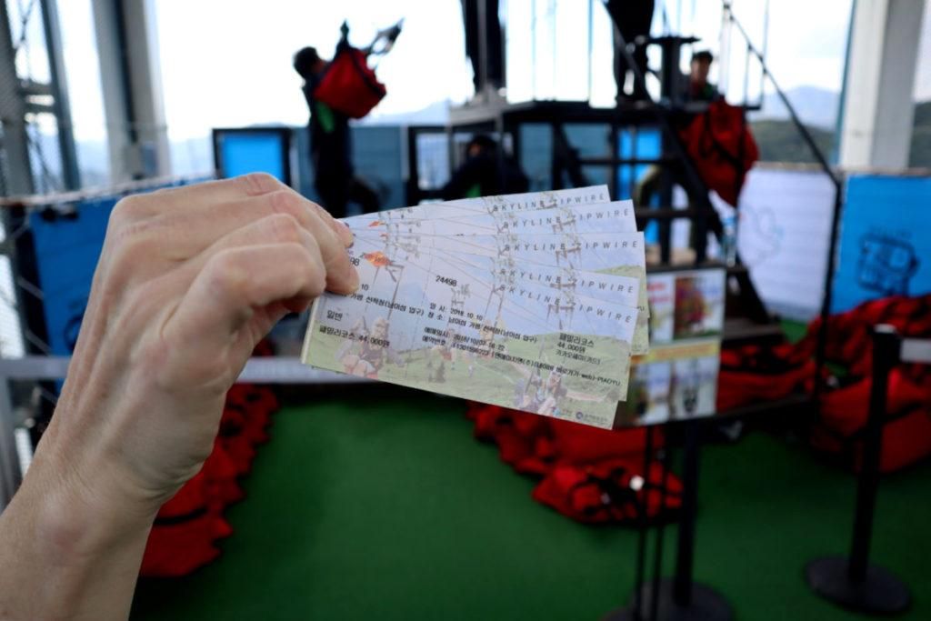 Review: Rocketing on the Nami Island Zipline bit.ly/3CbE76X