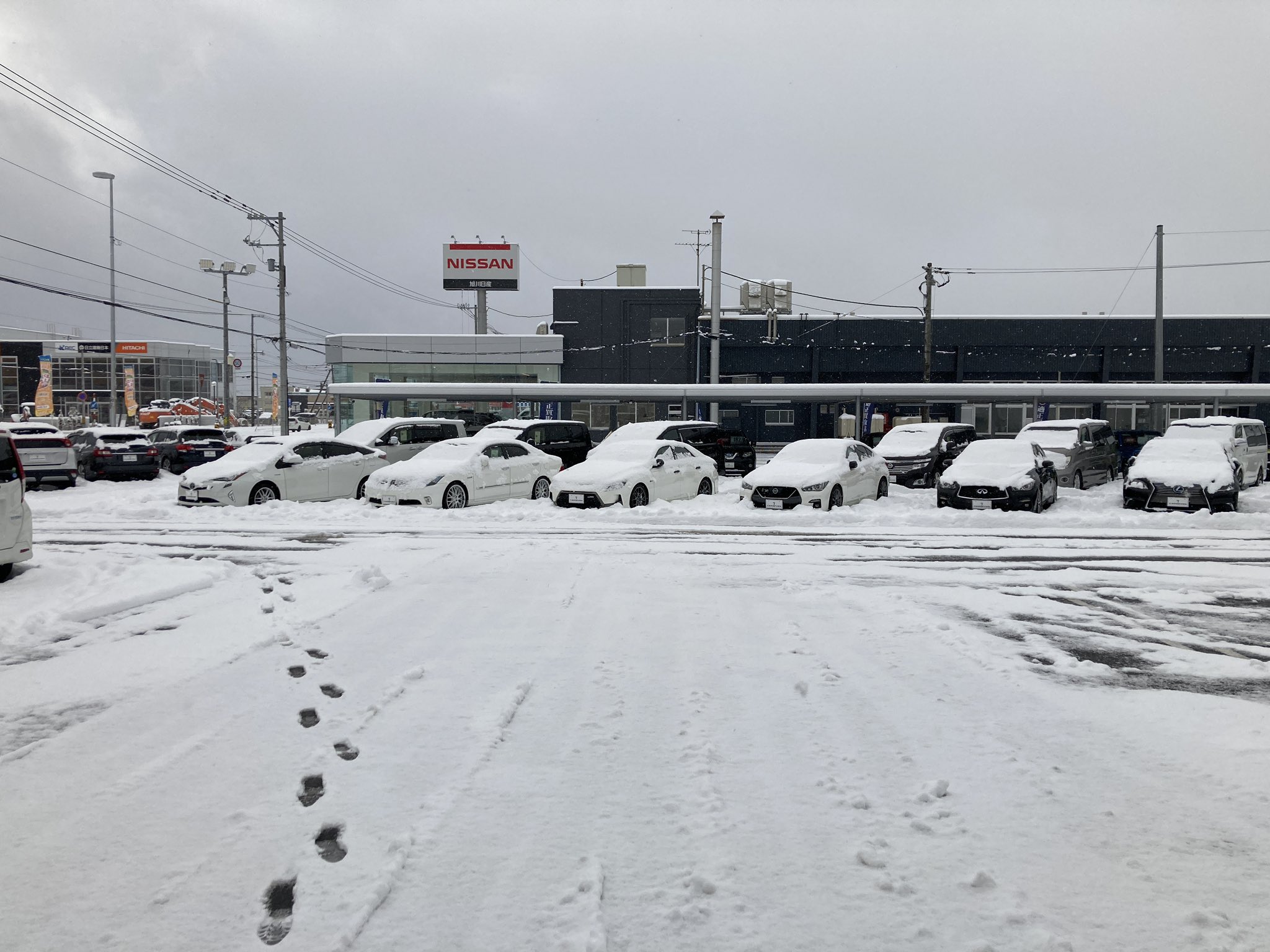カーセブン旭川店 Car7asahikawa Twitter