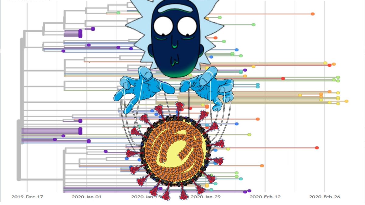 MolAnCell's tweet photo. For the directed evolution of SARS CoV-2, evolving it into the common cold. This is my idea to end the pandemic. But before you all lynch me, remember that I'm just a biology fan and this idea is very radical, and i just want to share it with you all. https://t.co/Zkx1Zsgq5v