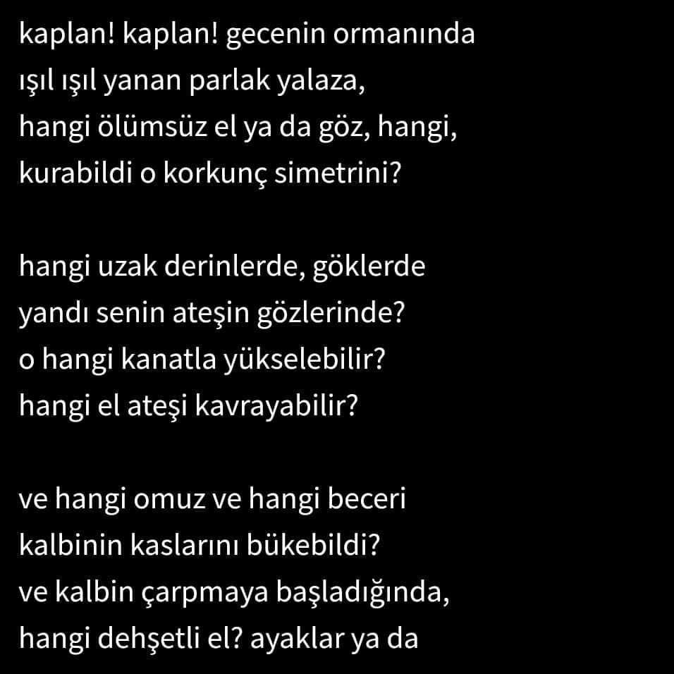 merveyaylack's tweet photo. kuzu'yu yaratan mı yarattı seni?*
Art: #naeemehnaeemaei
Şiir: #thetyger, by #williamblake
Çeviri: #selahattinözpalabıyıklar https://t.co/yFzOyivNoa