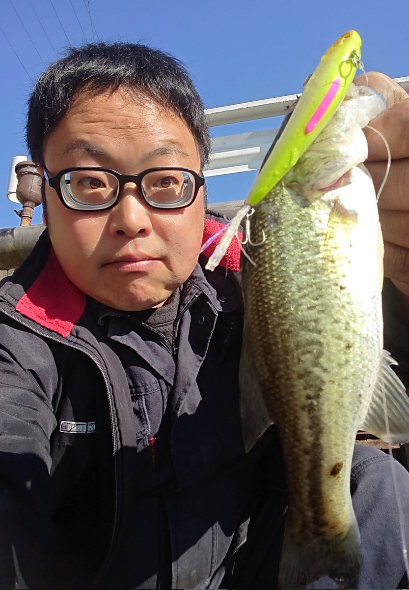 YuYuYujiFTK56's tweet photo. 昨日はノーバイトだったし、今日で昼休みフィッシュもおしまいの予定がまさかのwwwwww
ismのPULL70F投げたら魚湧いてきた💦💦💦
油断してまともなサイズをバラしたけど、PULLならガッツリ水温下がっても表層に出てくる😂😂😂
#昼休みフィッシュ
#ism
#PULL70F
#まだ表層に出る
#魚湧いてきた https://t.co/YF2RYHDWWL