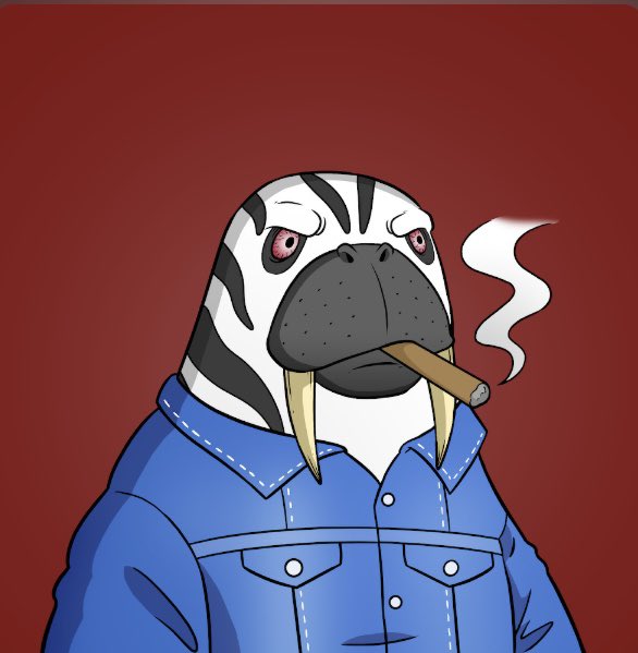 wordpressxxxx's tweet photo. @LauraHarpercoll My two Walrus from Based Walrus Collective absolutely 🔥🔥 https://t.co/WEgHplRAlC