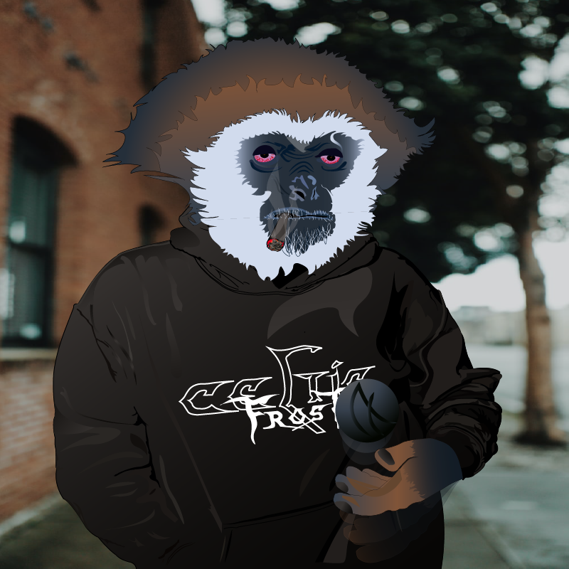 code_algo's tweet image. Hi guys! I have new bombs for you. I continue the series. 💣
CodeGibbon #2 listing at ab2.gallery/account/NYERVM…
#NFT  #NFTGiveaway #NFTshill #NFTdrop #NFTcollection #NFTCommunity  #AlgoNFT #nftcollectors #algoart #nftart