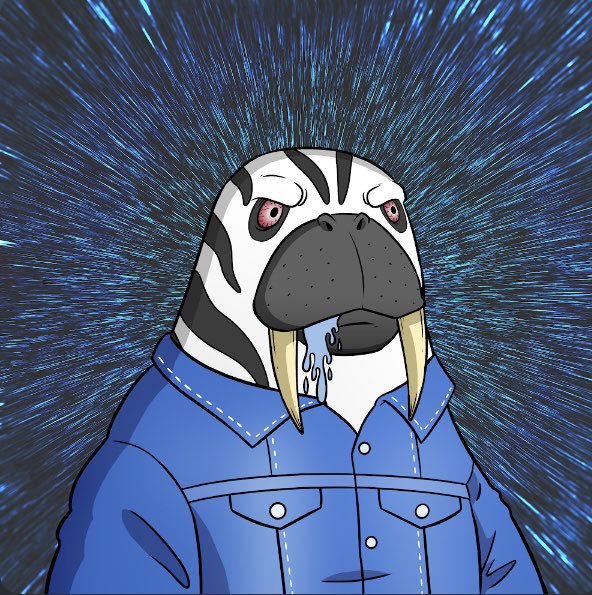 wordpressxxxx's tweet photo. @NFTcollector00 Selling these to Walrus from Based Walrus Collective lmk if your interested absolutely 🔥🔥 https://t.co/gRxFTbPHwF