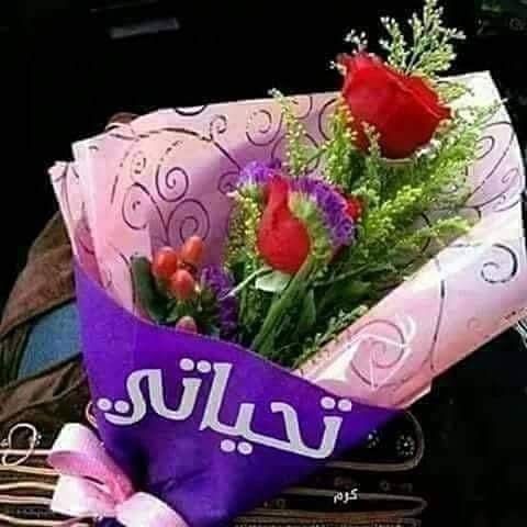 Do7aBig's tweet photo. @AlaaMubarak_ سنه جديده سنه سعيده كل سنه وحضرتك بخير https://t.co/wbKLMKtQjw