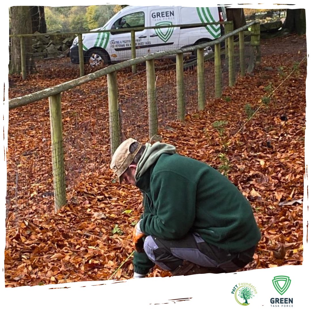 GreenTaskForce1's tweet photo. Our team in #Wales have had a busy #November planting 750 plants in Cleddon Hall, Trellech!

#greentaskforce #pattfoundation #veteranemployment #veteranssupportingveterans #treeplanting #wales #southwales https://t.co/gL905OhKuU