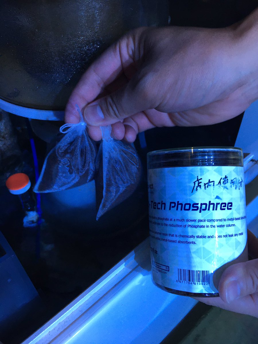 you_aqua's tweet photo. Nano-Tech Phosphree導入‼️
サンゴの成長を邪魔すると言われているリン酸を吸収して、取り除くことが可能らしく、
重金属や濁りが溶出しないから、水質も安定したままらしい‼️
なんかすごくないですか❣
サンゴの成長が楽しみ😁#AQUASTYLEYOU ＃aquastyleyou #maxspect https://t.co/l4ET1DMAqM