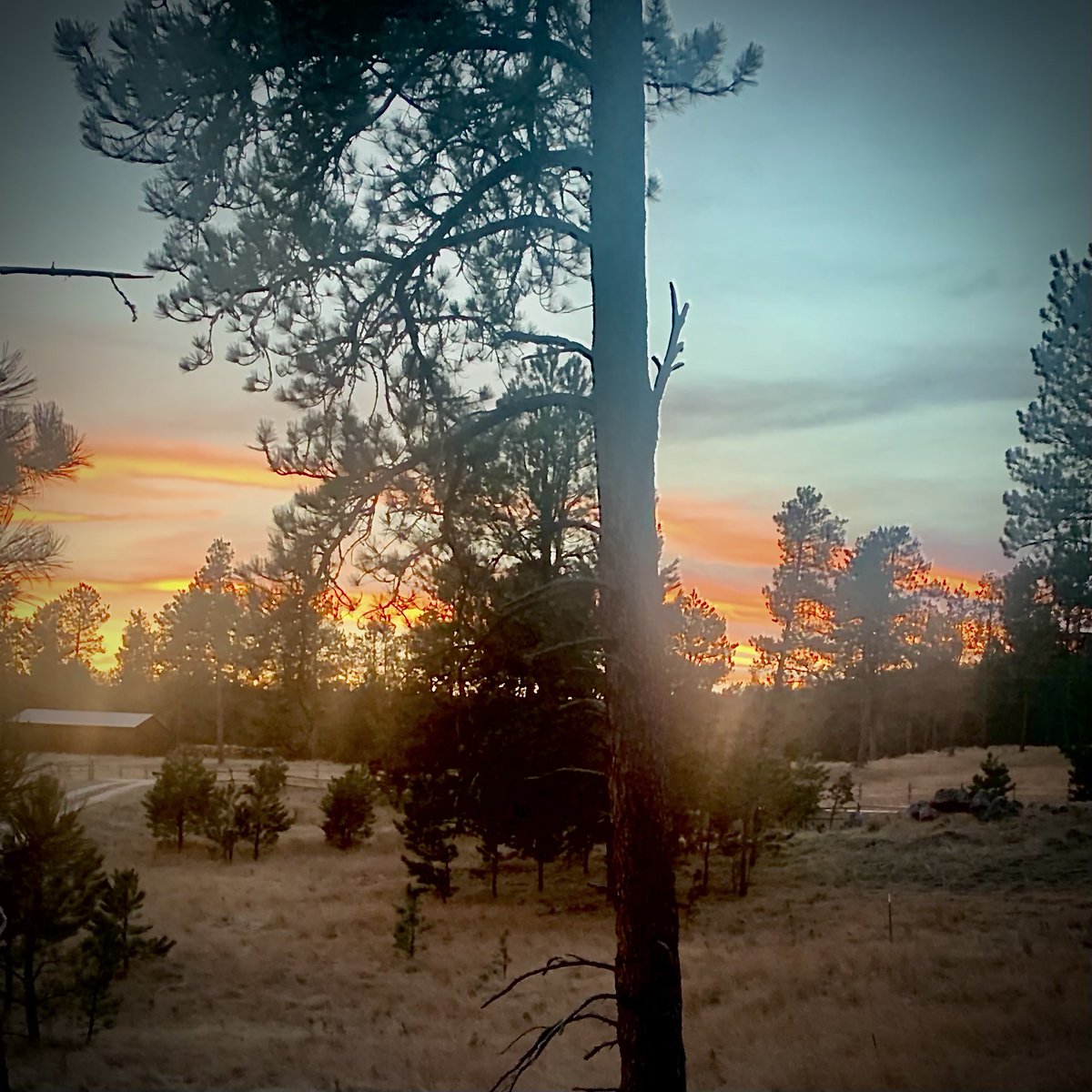 dave_versteeg's tweet photo. #sunset #thanksgiving #thanksgivingsunset #blackhills #hifromsd #blackhillsnationalforest #endoftheday #outdoorsaturday https://t.co/zV1jHopeCh