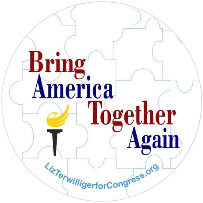 LizT4Congress's tweet photo. We're a diverse nation divided along gender, racial, religious, economic & so many other lines. Let's work together to #BringAmericaTogetherAgain
We need #CommuntySolutions, not political games.
It's #TimeforChange
#lt4c #RepresentativesNotPoliticians https://t.co/lvkH8hZOlR