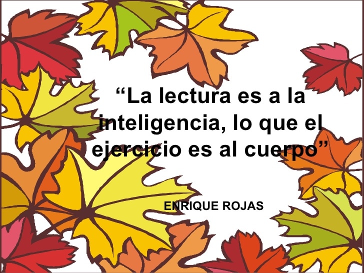 Alexander De Armas R tweet media