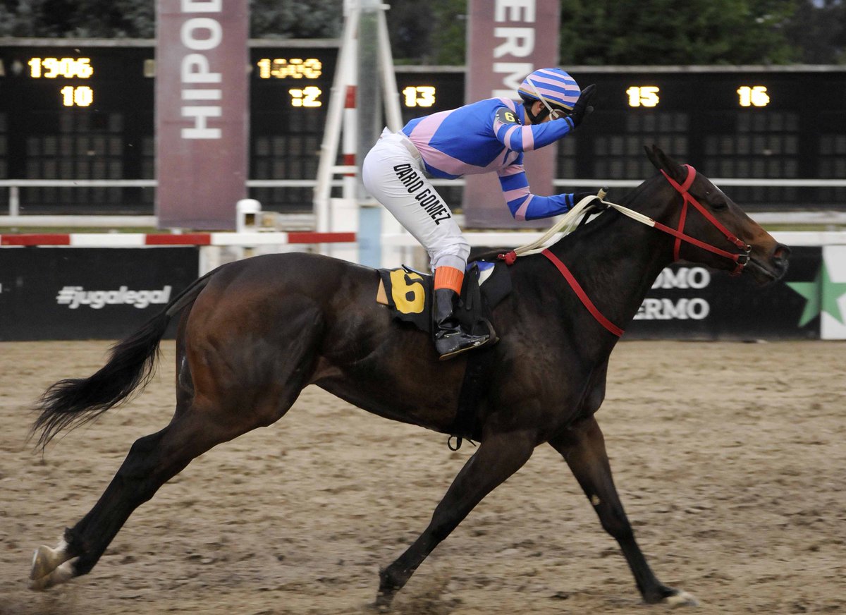 cpulgar28's tweet photo. Esta tarde se dipsutó el Clasico Aristophanes, sobre la distancia de 1000 metros de arena, carrera para todo caballo de 4 años y más edad, en el que se impuso URBAN LADY, con la conducción de Dario R. Gómez entrena Nestor Pastor, caballeriza Las Banderitas
#turf #DeTurfUnPoco https://t.co/o7eg7Nk6pr