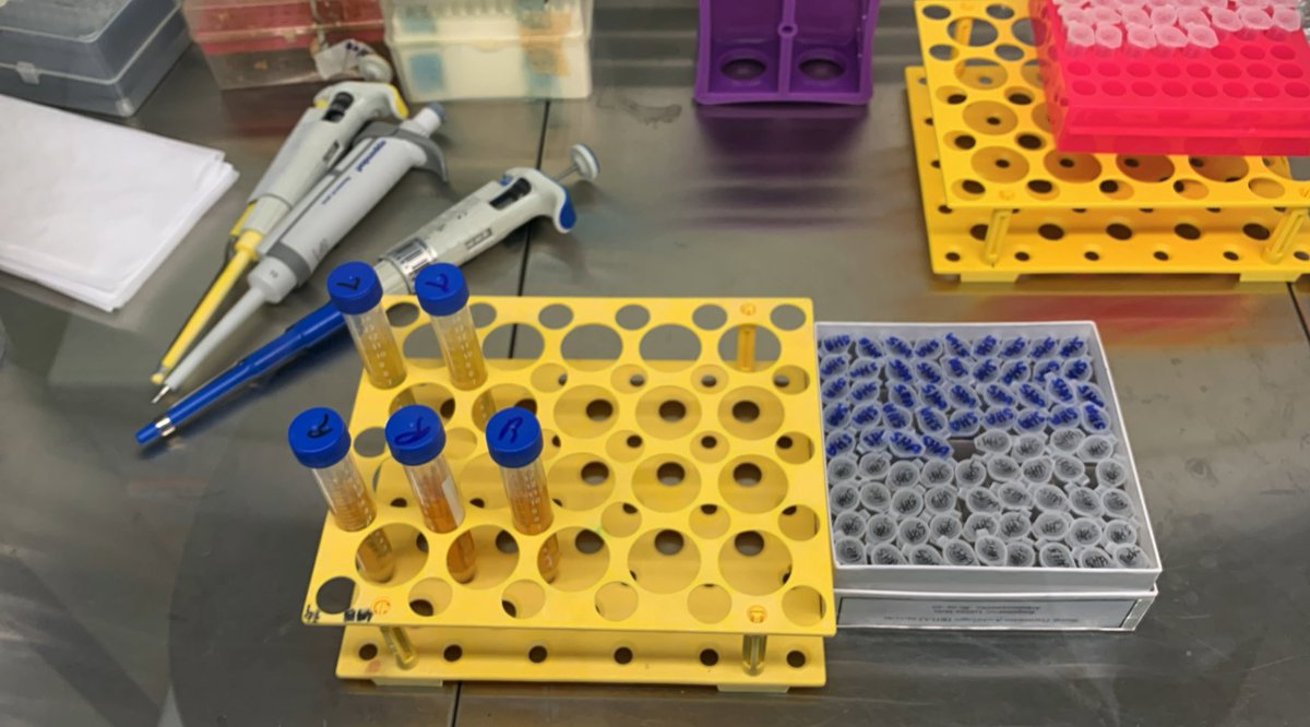 leticyamelos's tweet photo. 9:12 pm at the lab, me and myself, and in this moments I realize that this is what I want to do for the rest of my life. #lovescience #scienceisfun #PhDstudent https://t.co/nlQECRqkLw