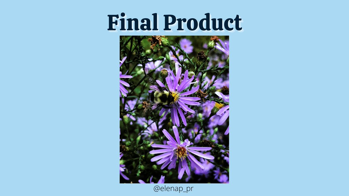 elenap_pr's tweet photo. Last weeks assignment part 2! I tried Adobe Lightroom! I prefer lightroom but it does require a subscription. #lightroom #adobe #edit #photo https://t.co/vs9ojPHXCF