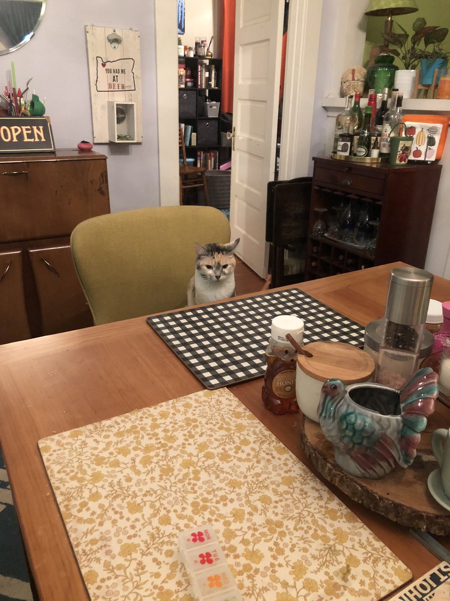 tssbro's tweet photo. @brookswheelan My cat had the same vibe the other day. https://t.co/7U9WX2NdVg