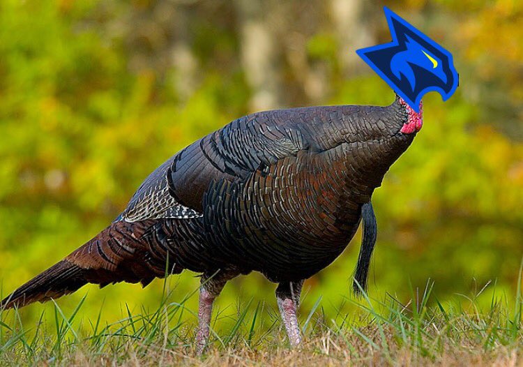 Happy Thanksgiving TeVo fam! #FearTheBigBlueBird