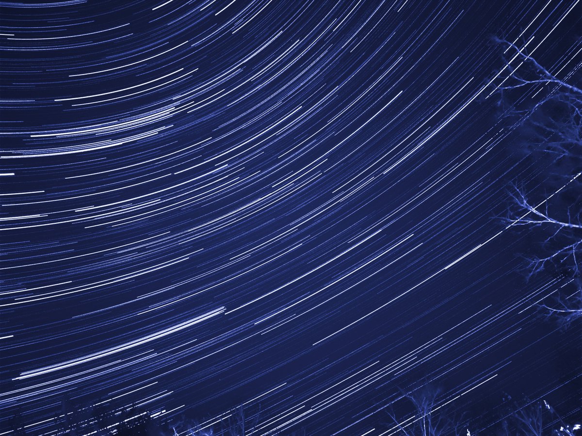 Linda Roy tweet media