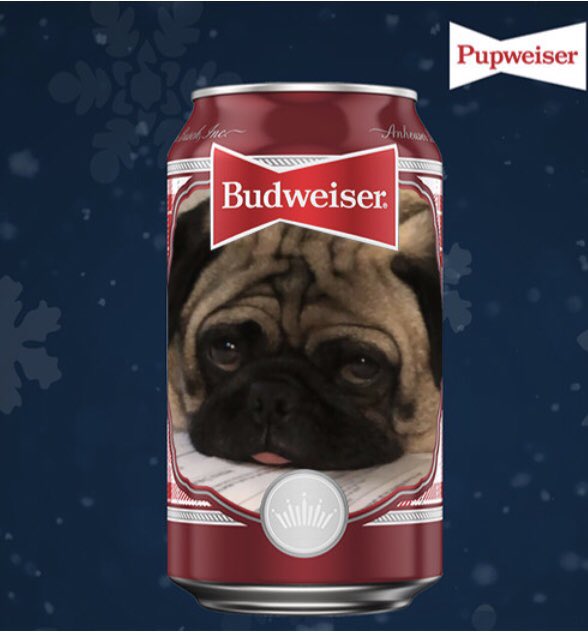 StlOwner's tweet photo. @budweiserusa @ASPCA This is Jerome.  Handsome rescue from a shelter in Texas. Transplanted to the Midwest.#PupweiserContest https://t.co/UsUllidfY1