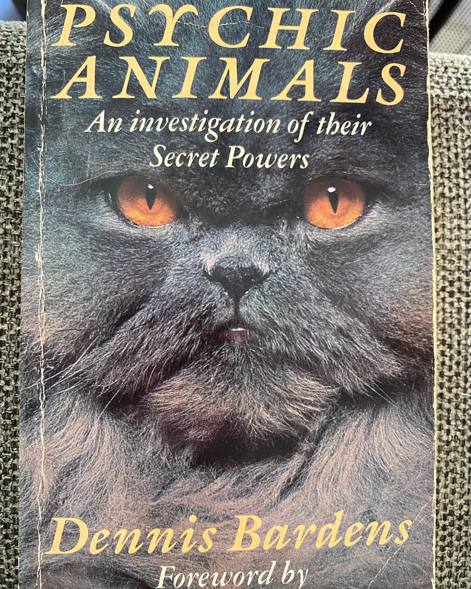 notsocryptic's tweet photo. Today’s the day, I’m finally going to read the best book I own. Finally I will learn the secrets of…phantom horses and mysterious dolphins (actual chapter names) https://t.co/gMmnhlZht6