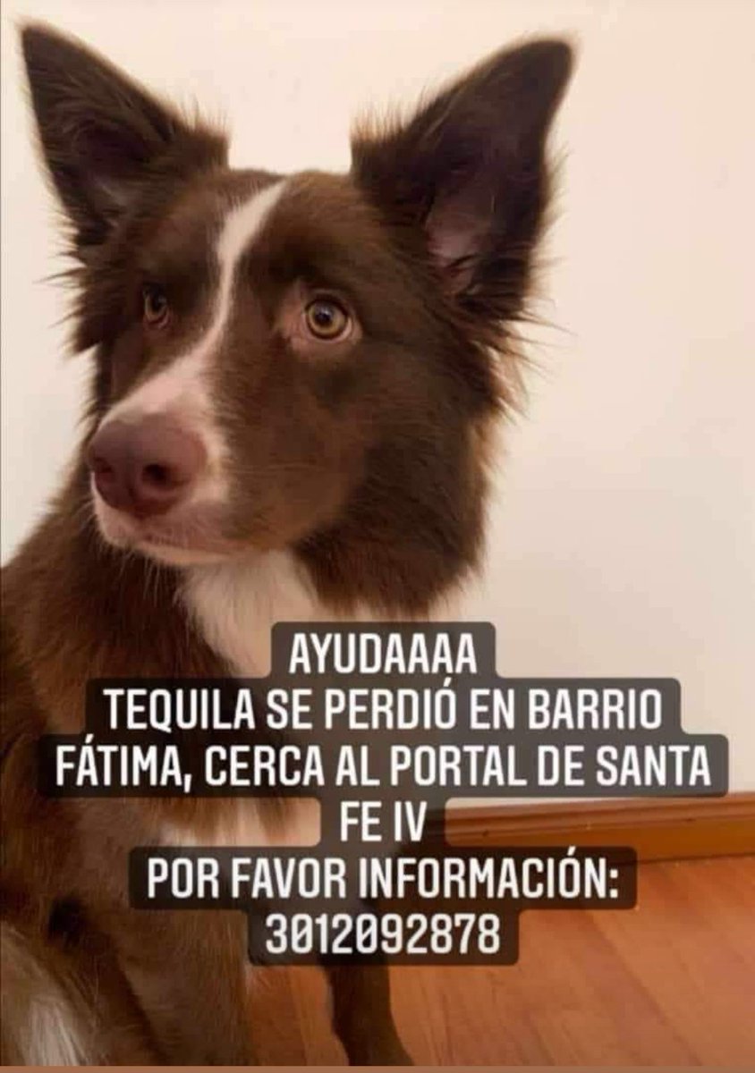 FredyAlain's tweet photo. En Bogotá... Ayuda por favor.. https://t.co/vnsAde5xvH