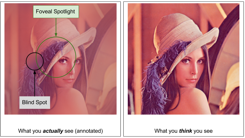 arankomatsuzaki's tweet photo. It's fascinating to me how localized the information human eyes process at a given moment (via fovea) compared with the current vision models. 

I hope more papers on the latter will come up. https://t.co/sa3Ehj17eF