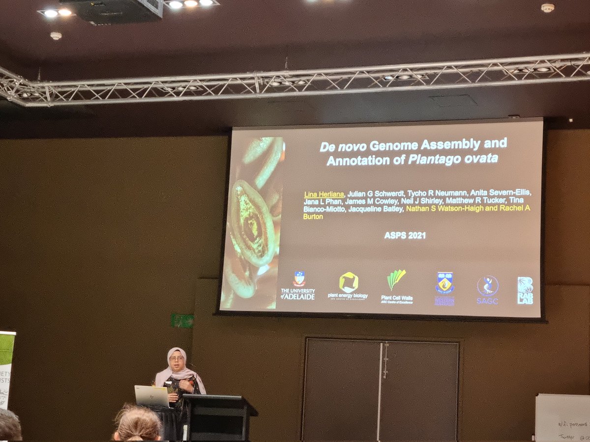 Lina <a href="/Herlianal12/">Lina Herliana</a> giving us a top notch summary of her P. ovata assembly and some inspiring words for aspiring bioinformaticians <a href="/asps_ozplants/">Australian Society of Plant Scientists</a> #ASPS2021 #AdelaidePlantSci