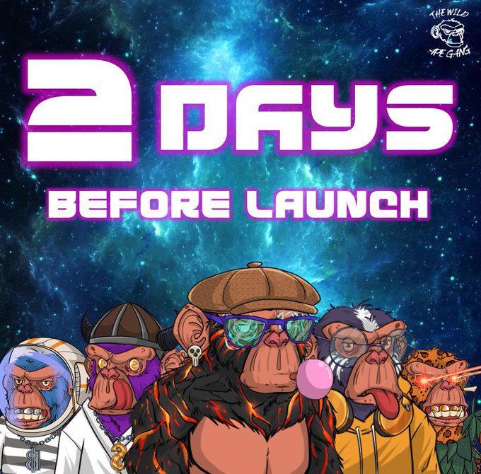 60k members in their discord even before they launch. The Wild Ape Gang is gonna be big! D-2. Are you
