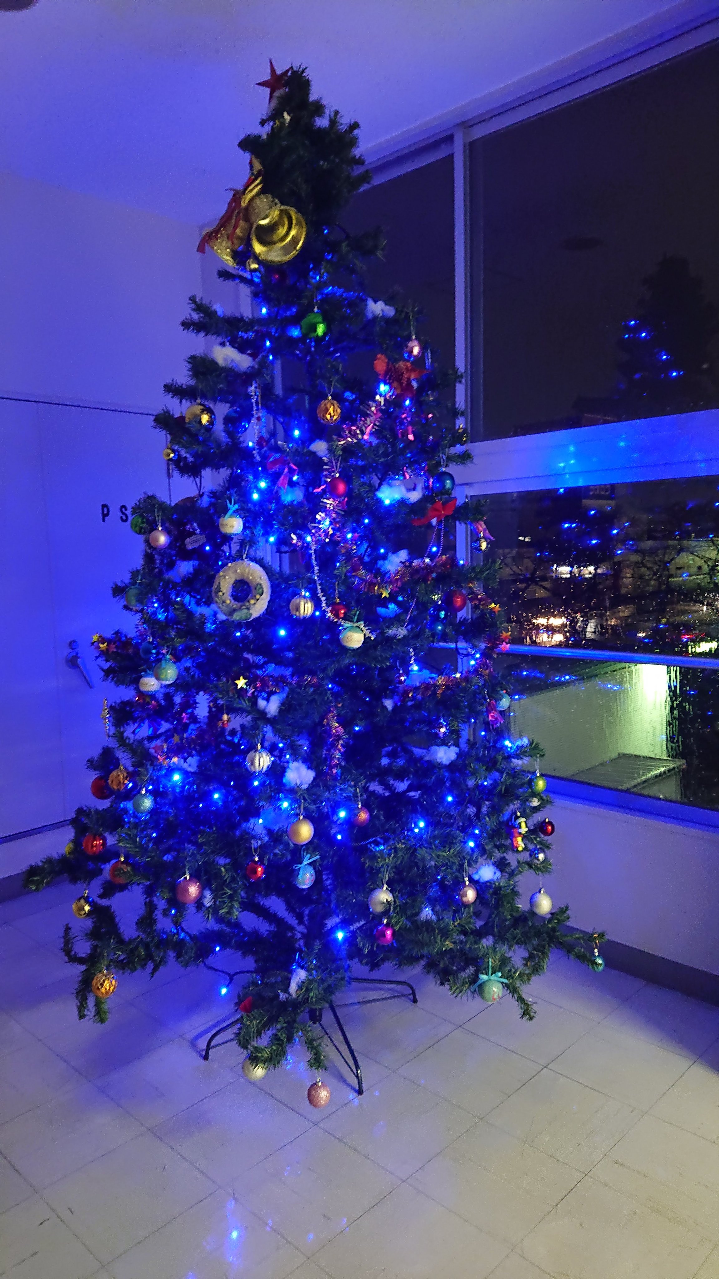 新潟職能短大 クリスマスツリーを飾りました 21年も一か月と少し 今年は２階に飾っていますので 外からも チラッと見えると思います 今までは屋内のみしか見られませんでしたが これからは外からもキレイに見えるように少しずつ進化させてい