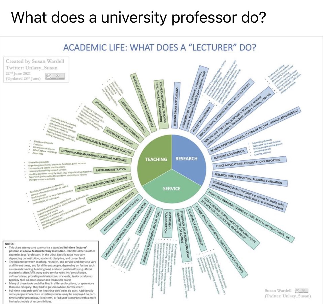 Dana Medoro tweet media