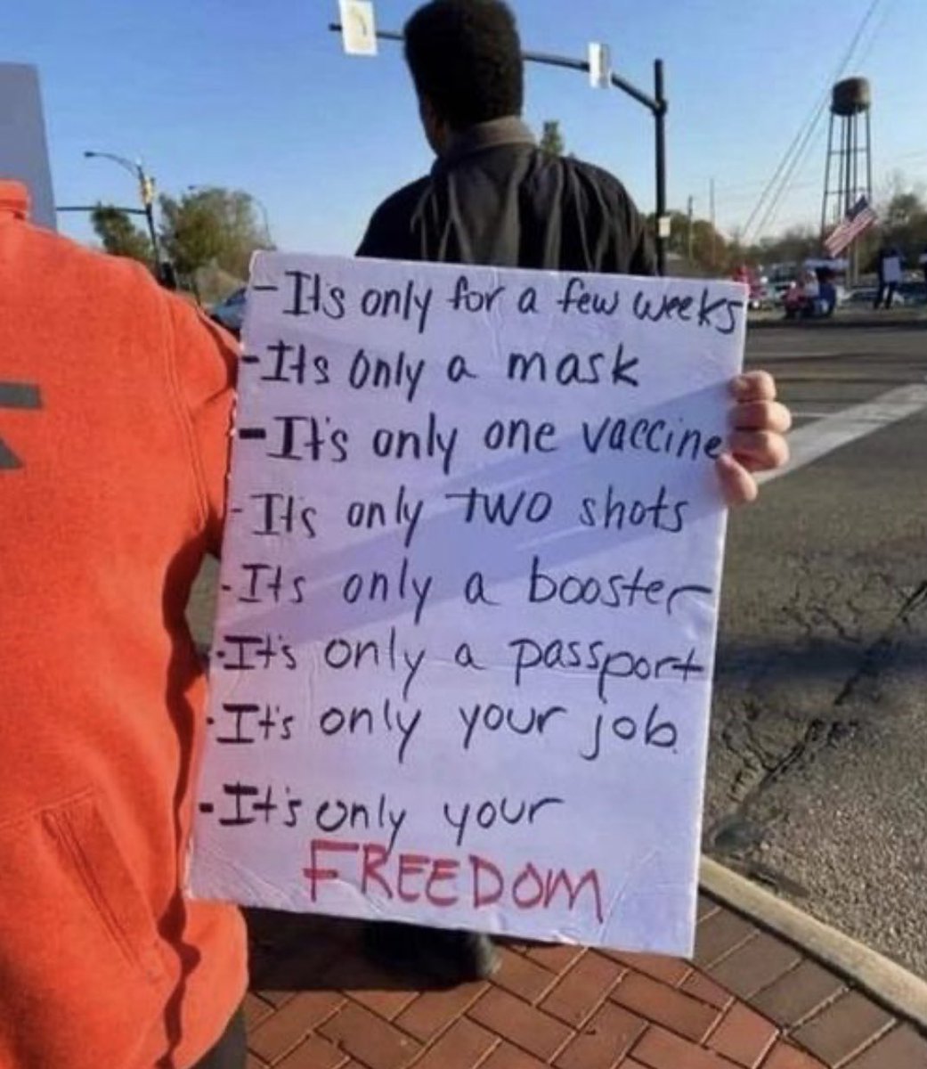 1111bigdog's tweet image. 