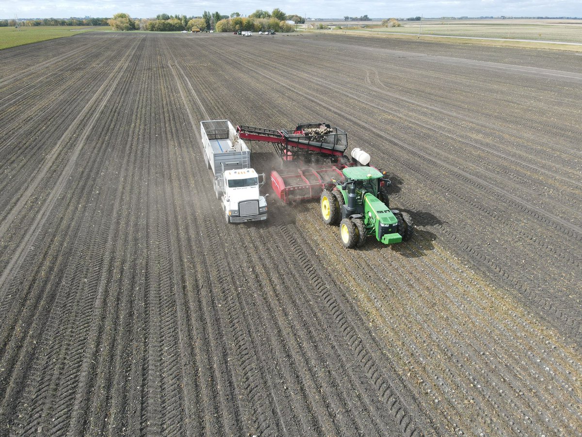 op_valley's tweet photo. How blessed are we to do the greatest “job” in the world? Tend the land. Happy Thanksgiving to you and yours! https://t.co/DJcJyk3ijT