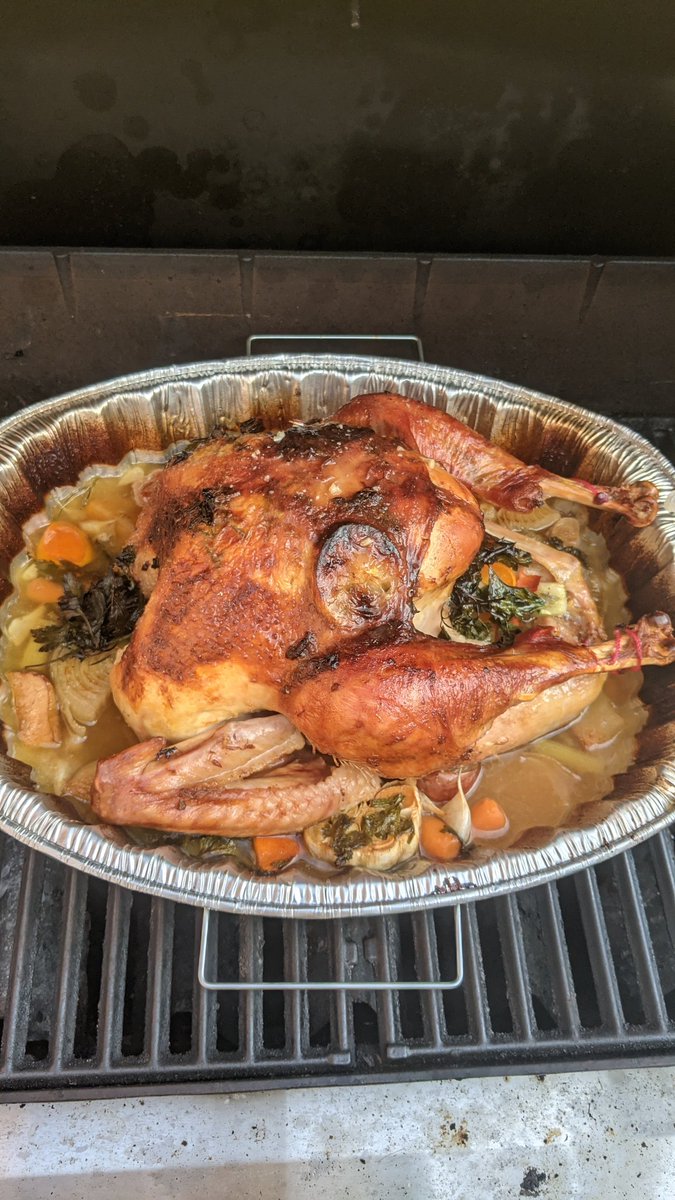 Kevin Maccarella tweet media