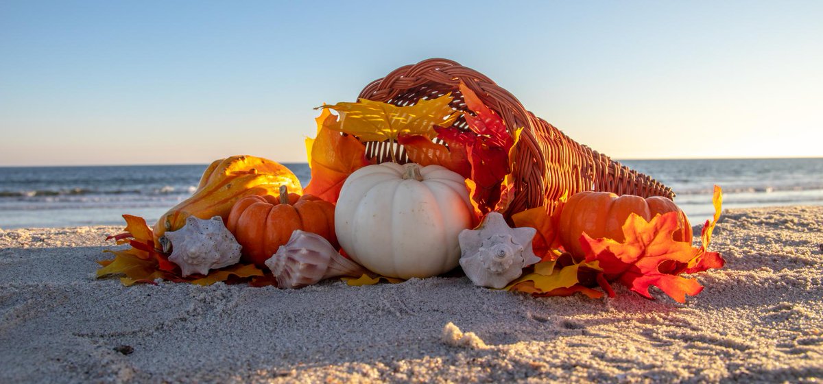 FOLKStweets's tweet photo. Happy Thanksgiving! We are so thankful for all of our incredible park rangers and volunteers who help make Lovers Key State Park as amazing as it is! We are also so thankful for all of you for coming and visiting Lovers Key! Enjoy your Thanksgiving!🧡 https://t.co/o3E4MRvEn3