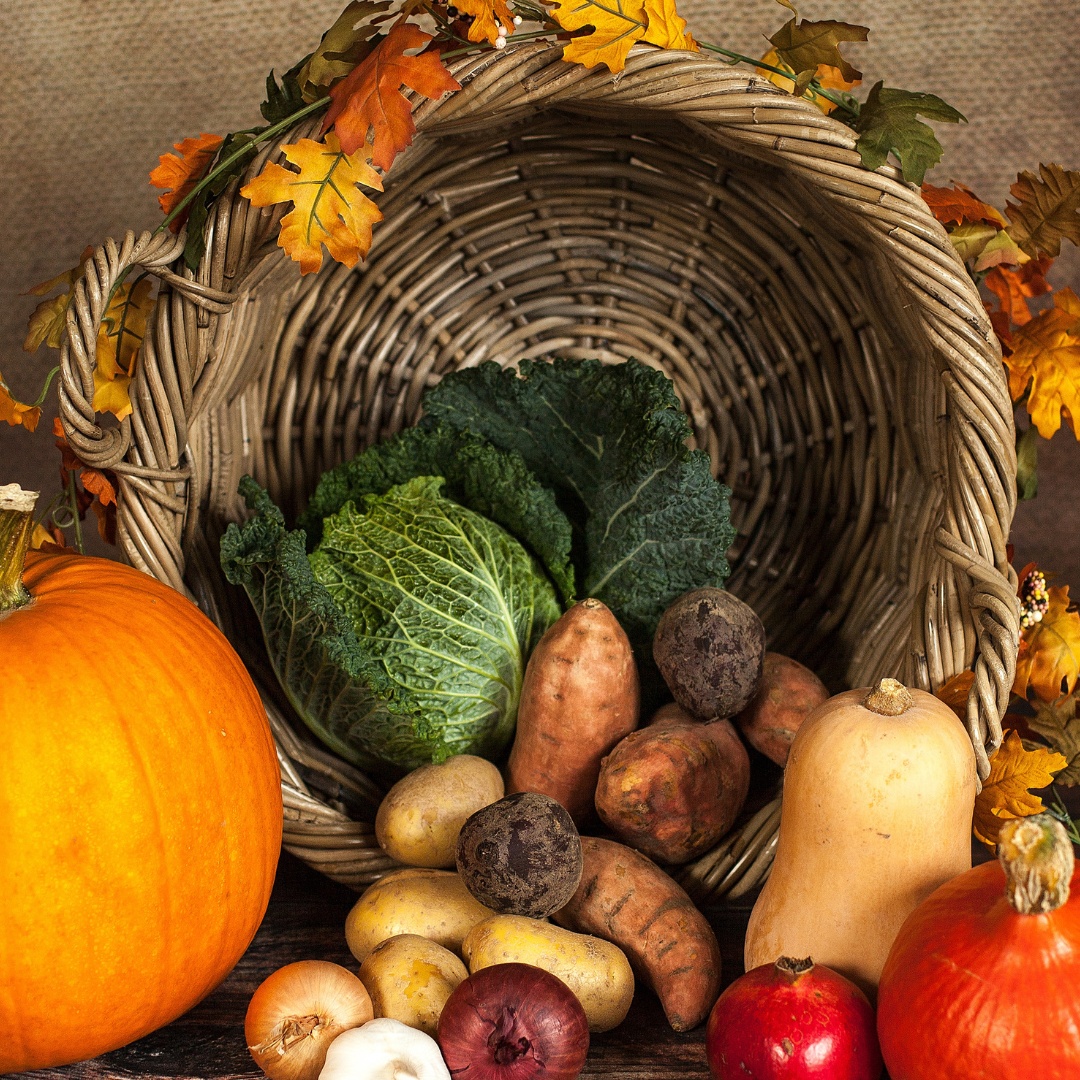 "Gratitude unlocks the fullness of life."

Happy Thanksgiving!

#nmsu #thanksgiving #good #gracious