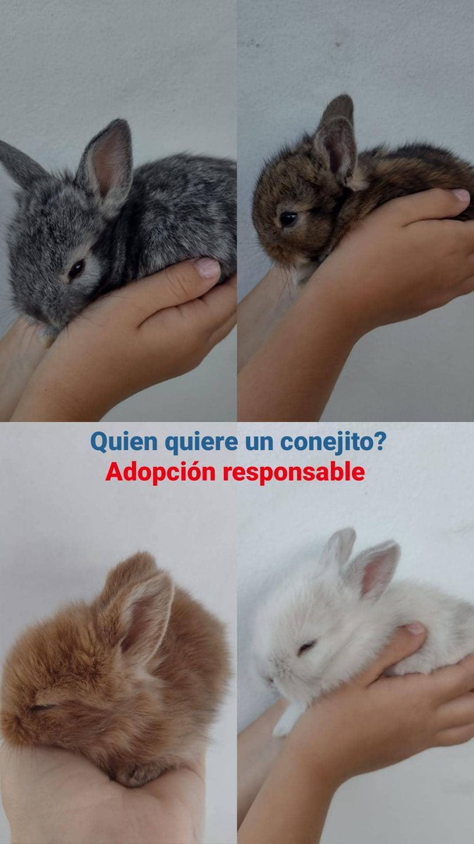 DesousaVC's tweet photo. Difundir!! 🧡 https://t.co/xmMFZkPsZh