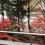 Yokoyama Takuyaのツイート画像