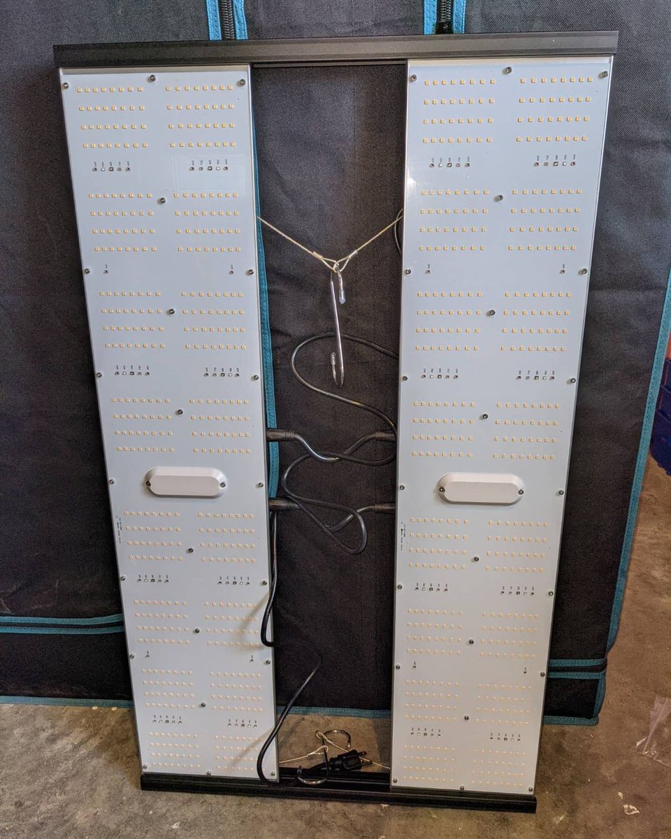 GeeklightC's tweet photo. Grow under Monster Board Pro 4800 480W
https://t.co/DddKp7BVVq 

#geeklight #monsterboard #monsterboardpro #ledgrowlight #ledgrowlights #indoorgrow #indoorgardening #indoorgarden #indoorfarming #lm301h #growyourown #hydroponics https://t.co/Aedn5wErOO