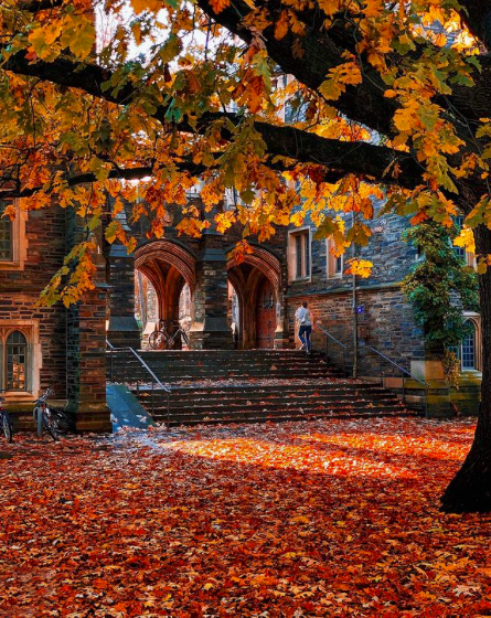 visitprinceton's tweet photo. Giving thanks! Hope you all had a wonderful Thanksgiving. 

📸 : @p.vekshin https://t.co/7NU3Zystcs