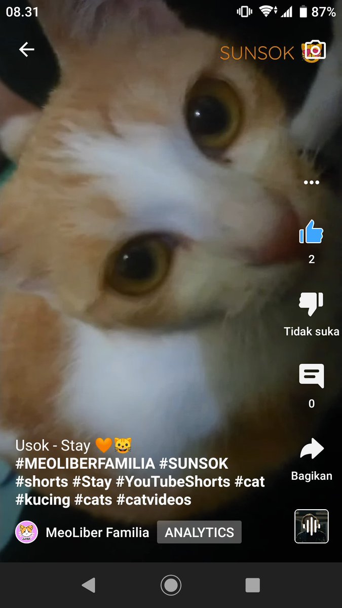 meoliberfamilia's tweet photo. Sunsok Update!! YT Short ๐ป๐
Please check our new video ๐๐ฅฐ
๐https://t.co/PsHEBjr8rr
#CatsOfTwitter #SUNSOK #MEOLIBERFAMILIA #MEOLIBER #็ซใฎๆฅ #CAT #KITTEN #ใญใ #ใซใจใซ https://t.co/oC2rWsPKcv