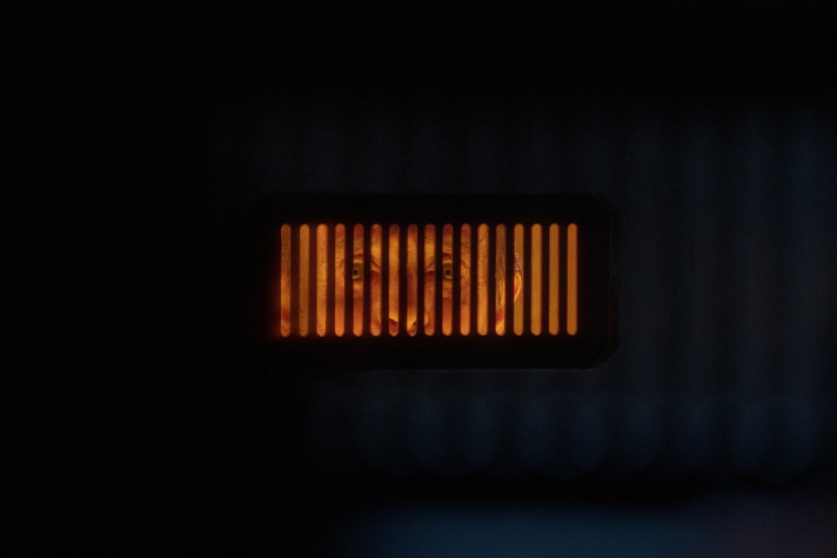 Screen_NS's tweet image. The winner is: TIN CAN! Congrats to the team at Cut/Off/Tail Pictures: director/writer @sth_smth, writer Darcy Spidle, and producer Nancy Urich! 👏👏👏
 
Tin Can is a dystopian sci-fi thriller and was recently acquired by @levelFILM #snsawards2021 #nsfilmjobs #CdnFilm