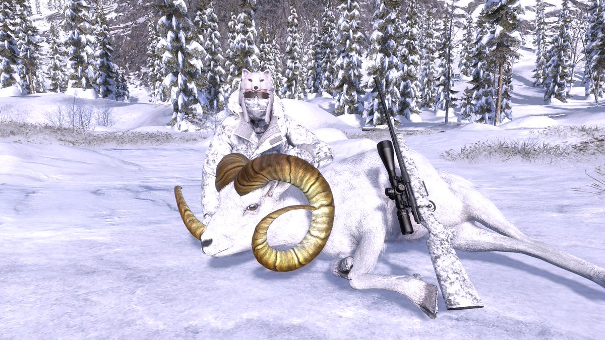 Nockedup2's tweet photo. Dall Sheep competition hunting in theHunter Classic tonight LIVE on Twitch. https://t.co/xjZHEMJMBV Going LIVE at 7:00 PM PST. @expansiveworlds @TheHunterGame @SmallStreamersR @SmallStreamersC @TwitchSIE #virtualhunting https://t.co/HpZqdZBKvM