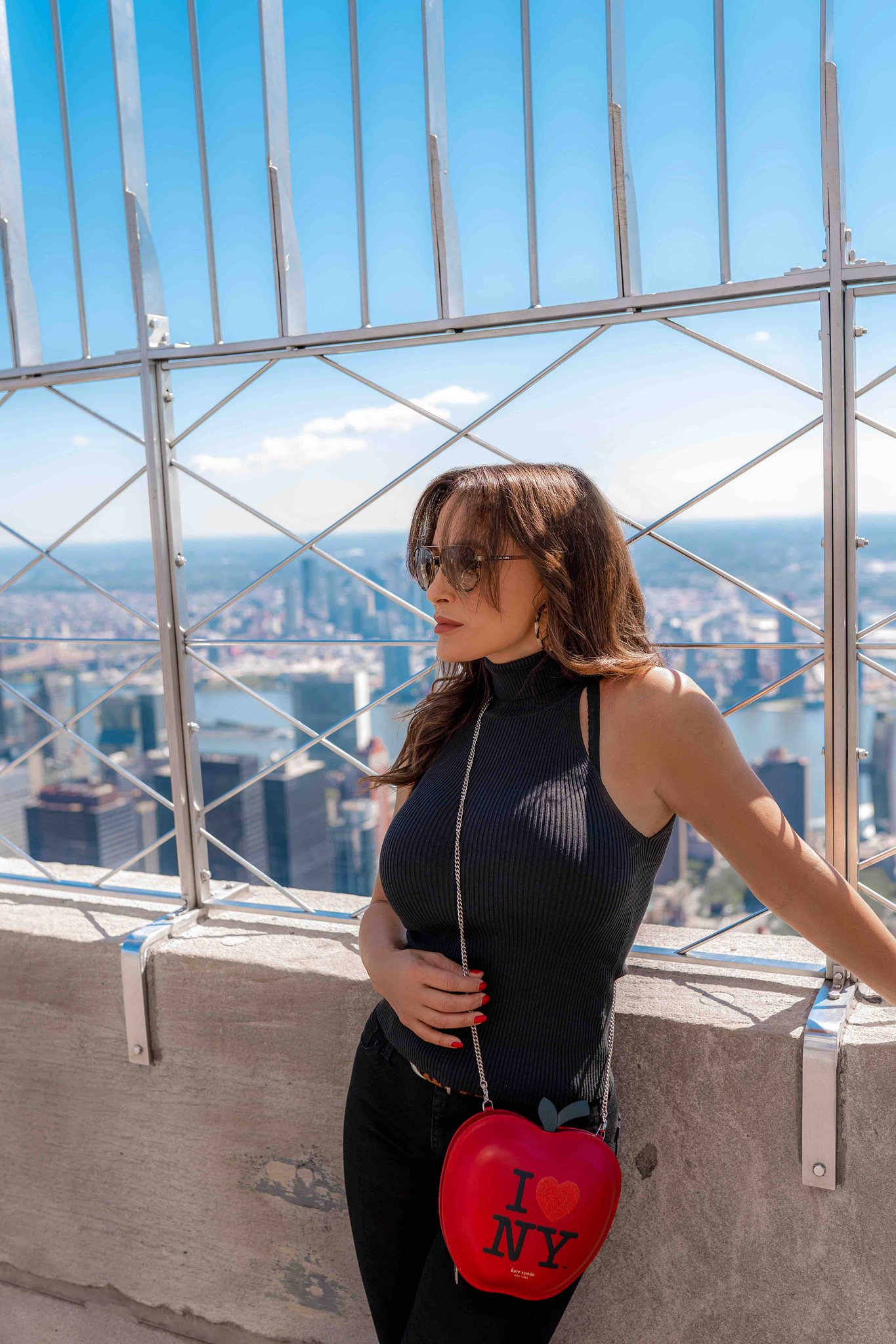 TW Pornstars - 1 pic. Lisa Ann. Twitter. “Once you have lived in New York and it has become your