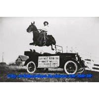 When all else fails, learn to ride a horse my friends. They'll keep you humbled and in good humour, with just enough hurt to keep you honest. #thepastisthefuture #climatechangesolution #getreal #cowboyup #grabsomecourage #headsup