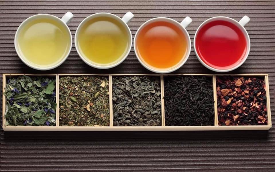 أبرز الأحداث في هذا الأسبوع 
يوم آخر شاي آخر_ الحمضيات وممتعة
Catch of the week. Another day-another tea. Citrus and pleasant. 
Contact me to import tea from Vietnam. whatsapp: Jane +84937798672 #greentea #blacktea #export #import #شاي #فيتنام #تصدير #استيراد #vietnam #越南 #茶