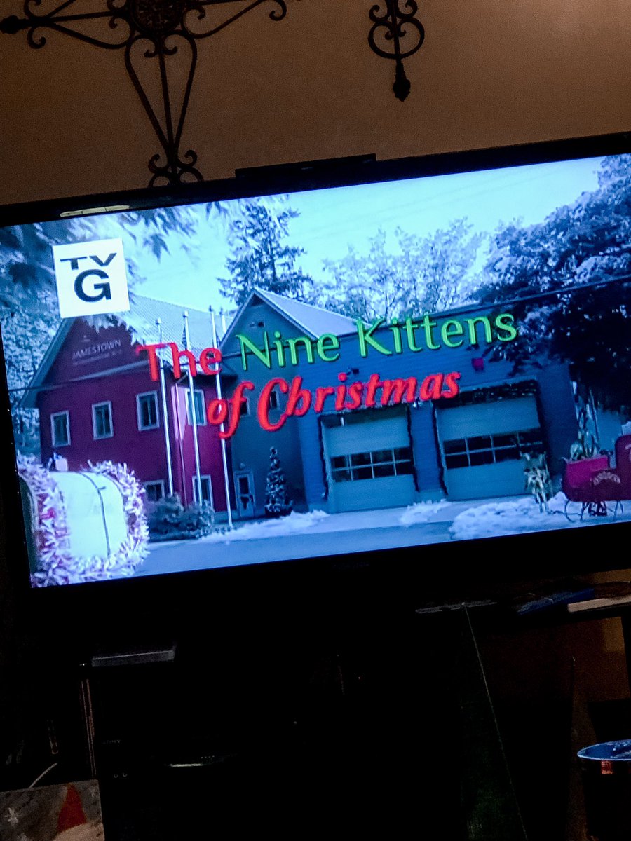 AlyssaAllstar_'s tweet photo. Christmas and cats are my FAVORITE things, I’ve been waiting for this!🐱🎄♥️ #TheNineKittensOfChristmas @hallmarkchannel https://t.co/y4TVDKnJbM