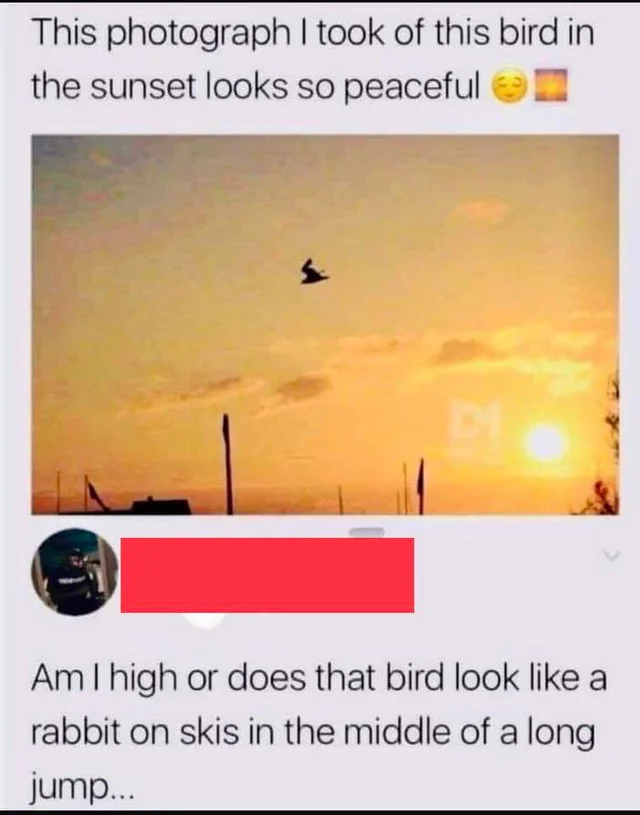 WholesomeMeme's tweet photo. https://t.co/qLe0Pj76WF
