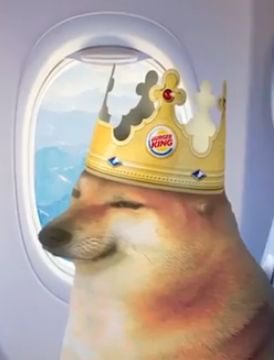 amphlux's tweet photo. @BurgerKing We argued about which #cryptocurrency we are in. Just kidding! Since we are all invested in on #DOGEBONK #DOBO $DOBO #BONK the only crypto #memecoin with actual #memes.

(true story my boomer aunt has some) https://t.co/xRybj0q741