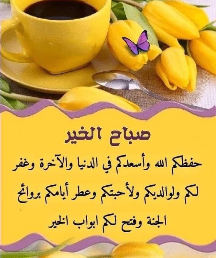 FSAlruwaili's tweet photo. https://t.co/uOxliY14Bm