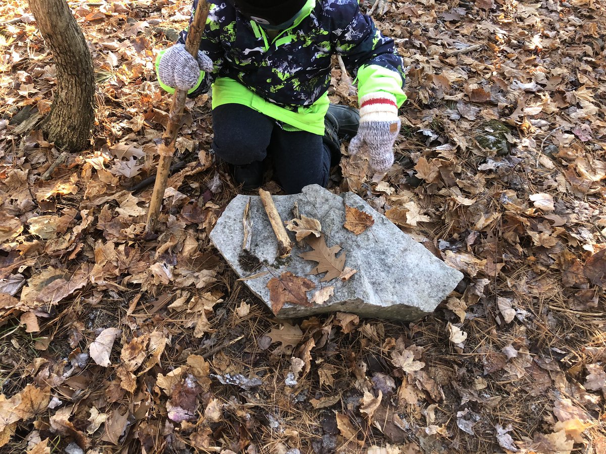 VanZeelandPower's tweet photo. Forest School update: It was amazing. A lot of math talk and exploration play. https://t.co/ByBKboLZaJ