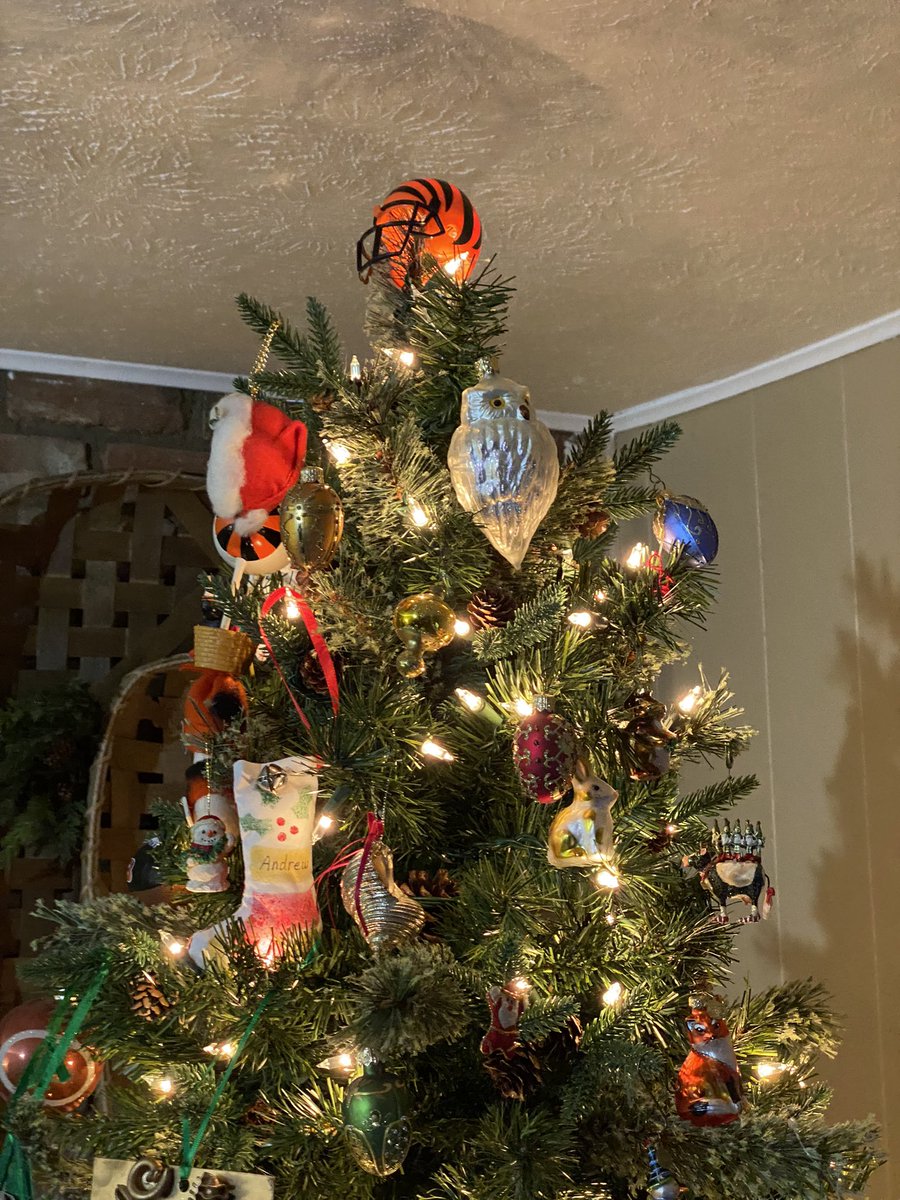 The best tree topper one can have. #Bengals #RuleTheJungle #HappyHolidays